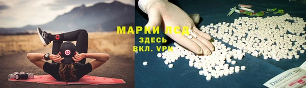 амф Верхний Тагил