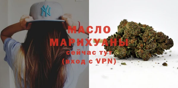 амф Верхний Тагил