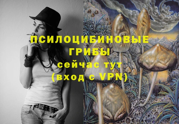 синтетический гашиш Карпинск