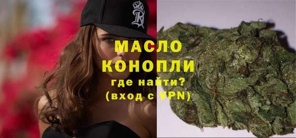 амф Верхний Тагил