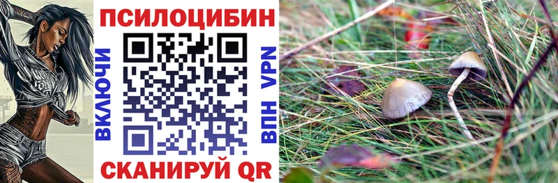 Галлюциногенные грибы GOLDEN TEACHER  Касли 